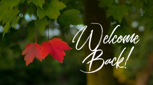 Welcome Back!