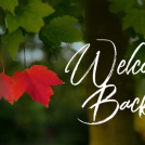Welcome Back!